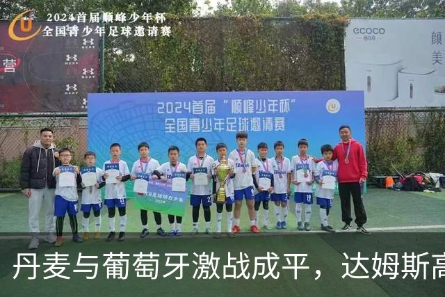 丹麦与葡萄牙激战成平，达姆斯高精彩进球扳平比分