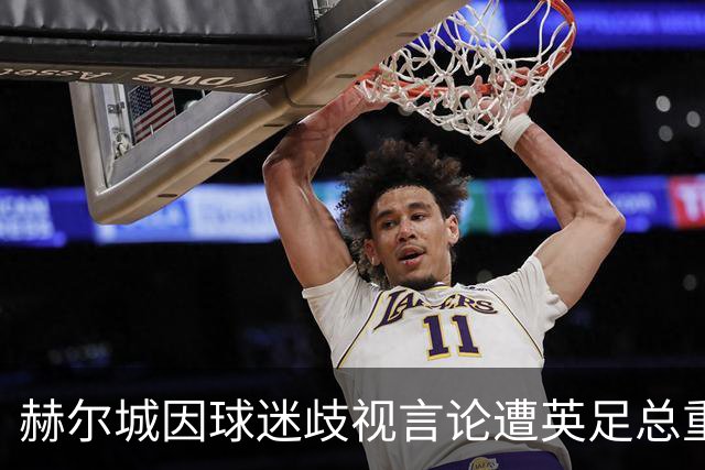 赫尔城因球迷歧视言论遭英足总重罚与禁赛措施